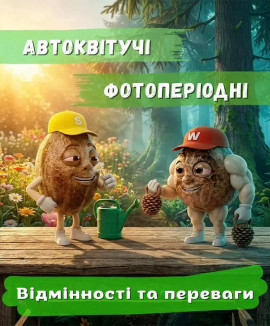 Отличия авто от фото, которые вы не знали: Почему профи за фотики?