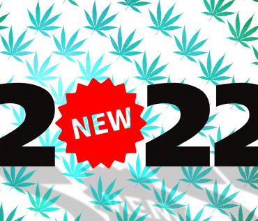 Горячие новинки 2022 - краткий обзор на WeedSeeds