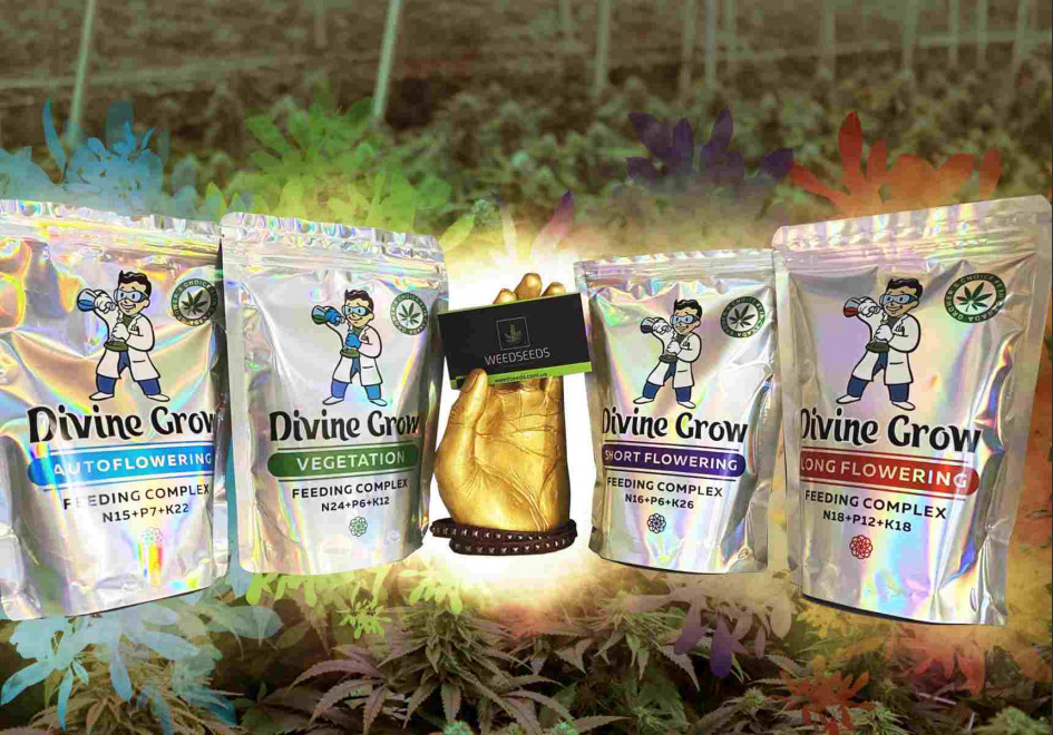 Инструкция к удобрениям от Divine Seeds