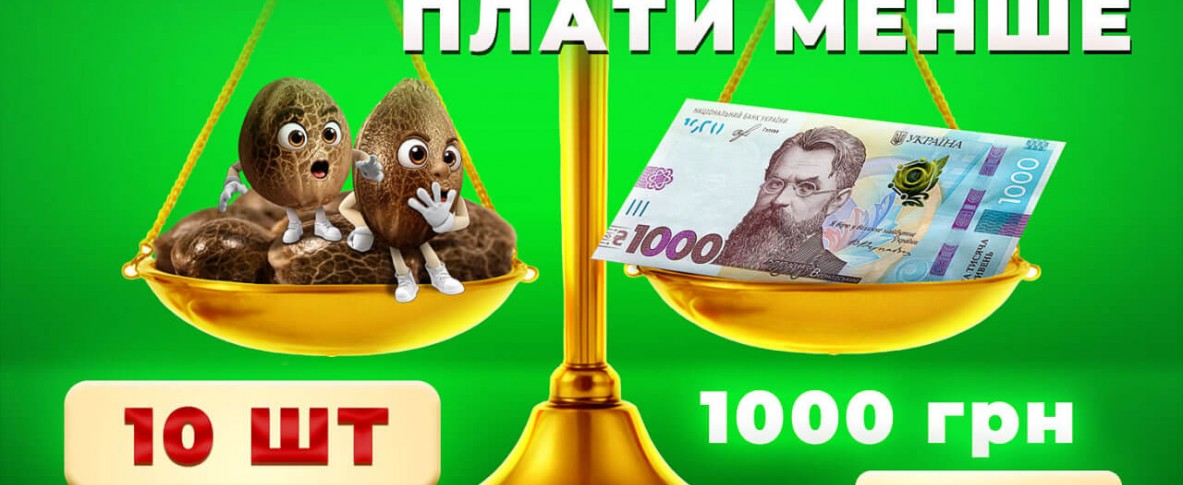 Акция семена по 100 гривен