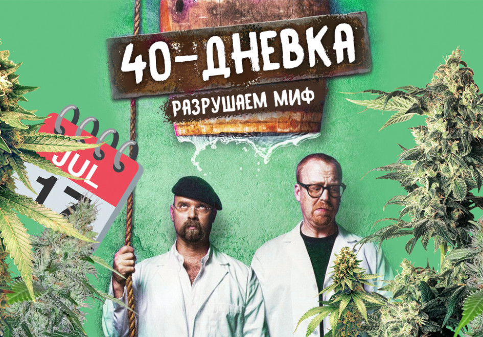 Развеиваем миф: сорокадневок не существует
