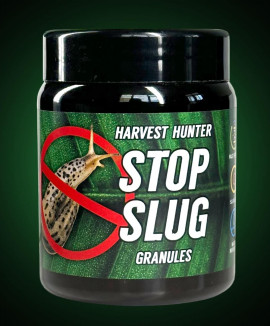 Stop Slug