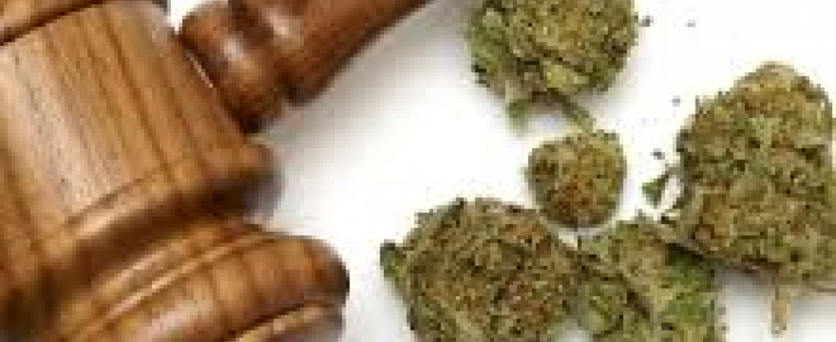 Закон и семена конопли анализы на марихуану
