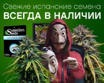 Магазин семян марихуаны в украине чем поливать куст конопли