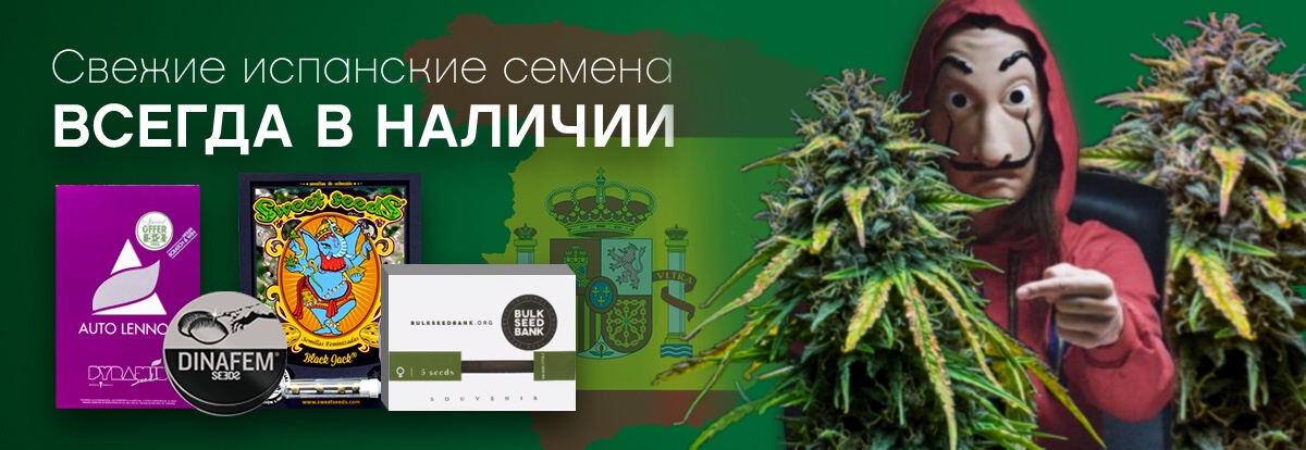 Банк семян конопли в россии darknet ru hyrda