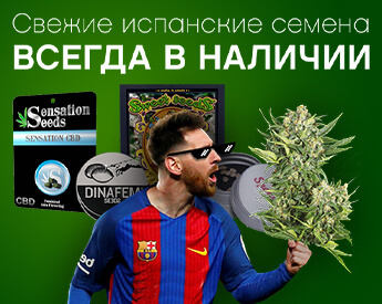 как увеличить эффект от марихуаны