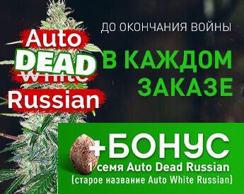 семена марихуаны продажа в украине